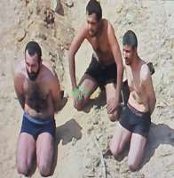 IMG20250802141901165.jpg