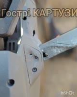 25197309615305421847.mp4