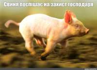 776f1c6638d348a1677a6c9d3cc937b4.jpg