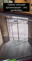 17572675335670.mp4