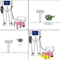 16918346425781.png