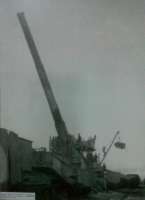 tm114.jpg