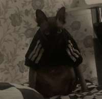 IMG6265.jpeg