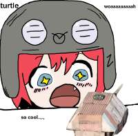 17310029940930.jpg