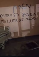 750327964329.mp4