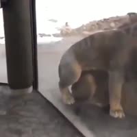 11(4).mp4