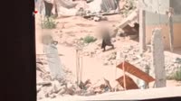 video2025-06-2520-56-13.mp4