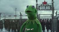 DtAUJIFW0AUeKuz.jpg