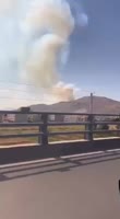 VID20250806213700308.mp4