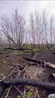 video2025-06-1603-13-57.mp4