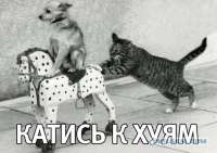изображение.png