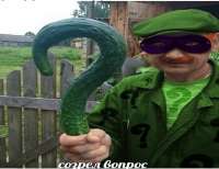созрел-вопрос.png