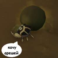 1751130169569.png