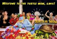 turtle wow1.jpg