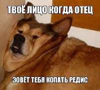 1638880152978.png