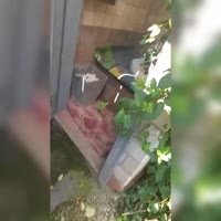 1744052801649.mp4