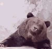 4443.gif