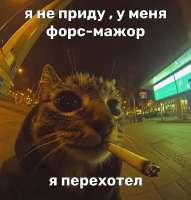 IMG20250725192154987.jpg