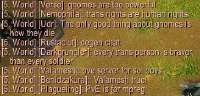 WoWScrnShot072725124042.jpg