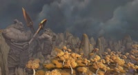 1.webm