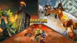 turtle.jpg