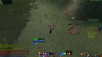 Sheepping.mp4