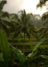 IMG4235.jpg