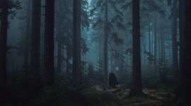 Berserk-berserk-armor-trees-forest-dark-2308070.jpg