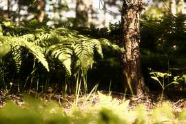 DSCF1285.jpg