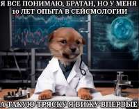 WZeB7xibthE.jpg