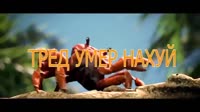 тред умер нахуй.mp4