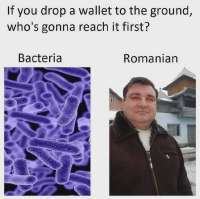 i-stole-this-meme-im-a-romanian-v0-hw7npwbtmqk81.webp