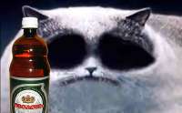 ZloBeer.jpg