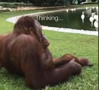 Thinking.mp4
