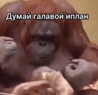 17502571488280.mp4