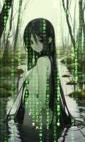 IVA-MATRIX.jpg