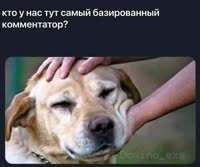 пёсель.mp4