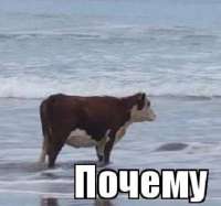 Снимок экрана 2025-02-10 235256.png