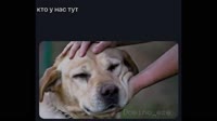 КОММЕНТАТОР))).webm