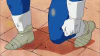 vegeta-kneel.gif
