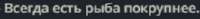 изображение.png