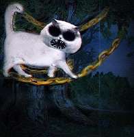 evilcat.jpg