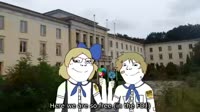 17533845937042.webm