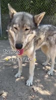 b5d1FRF7ZJftDwLw.mp4