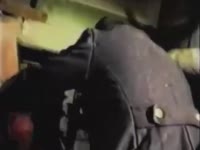 17430649972040.mp4