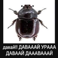 YRNOsq9zcK0.jpg