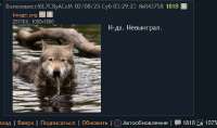 изображение.png