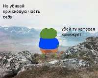 16852618698450.jpg
