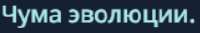 2025-08-0321-06-35.png
