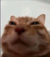 696464654.png